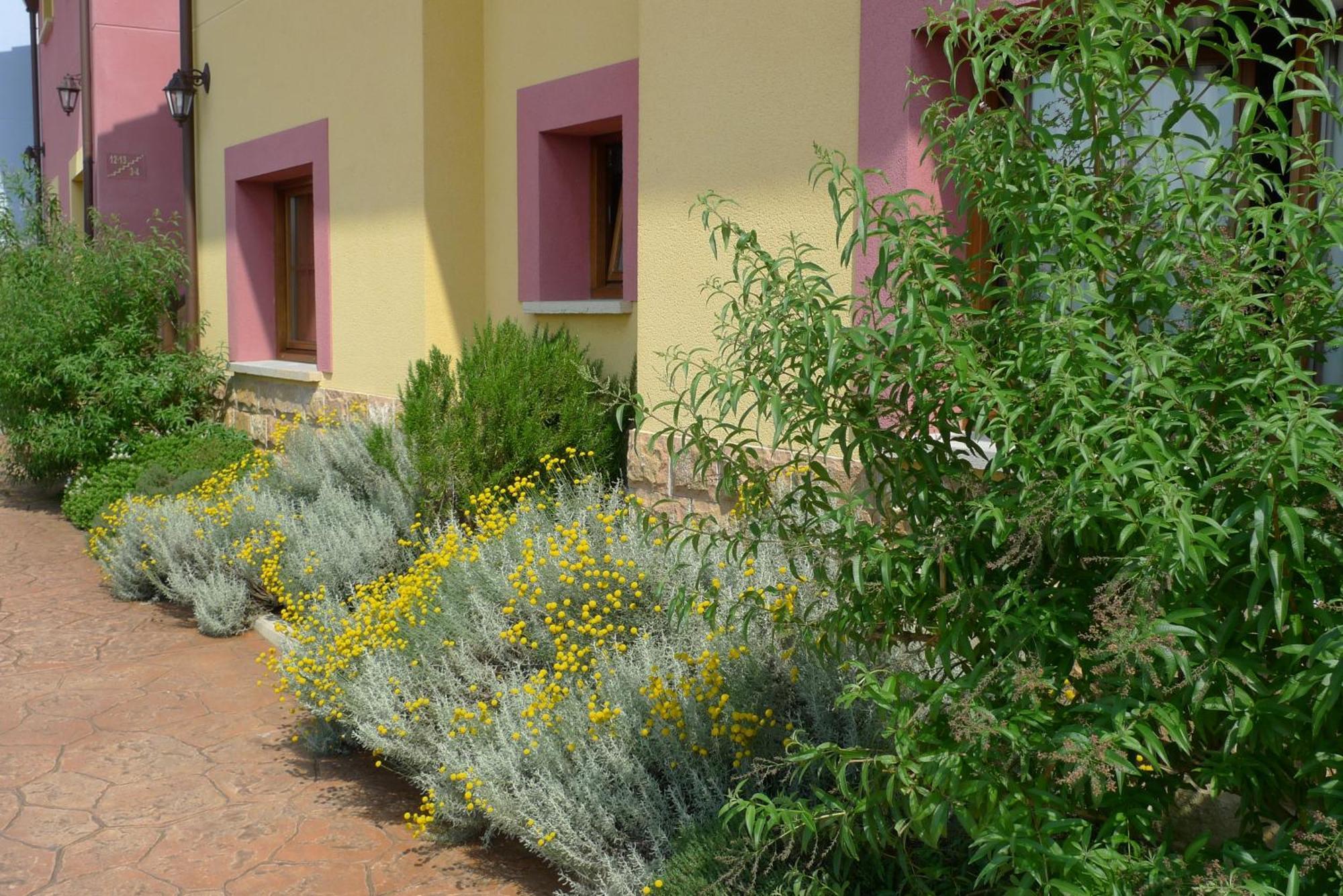 Apartamentos Rurales Antojanes Granda  Esterno foto